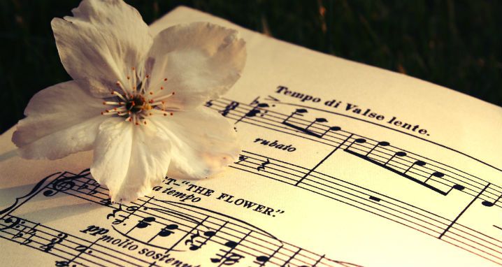 Voorjaarstournee 2026